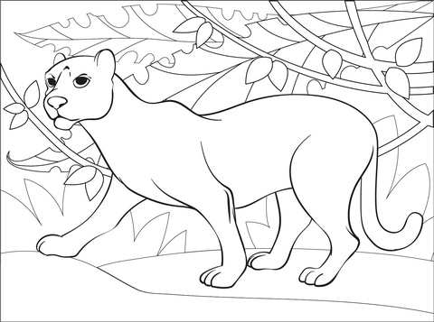 Panther From Jaguars Coloring Page